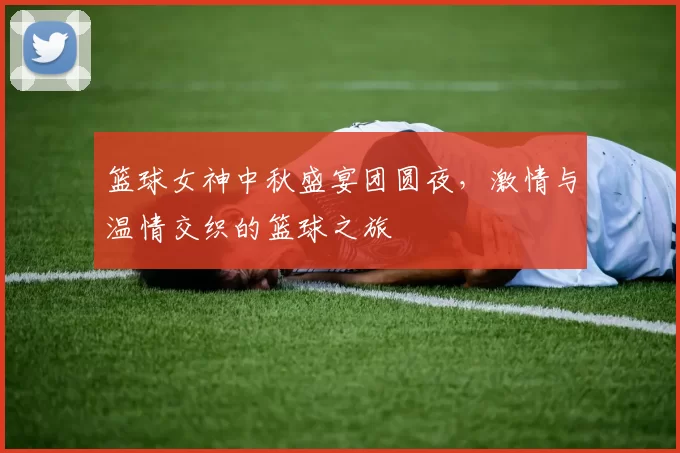 篮球女神中秋盛宴团圆夜，激情与温情交织的篮球之旅