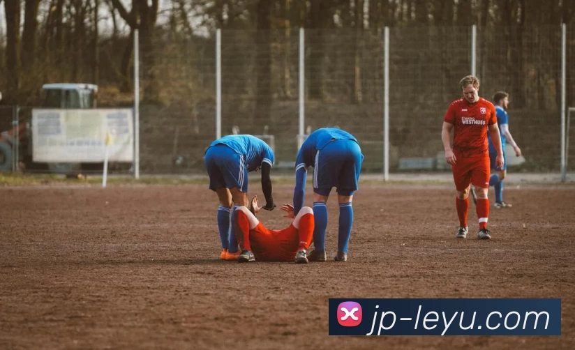 App Interface Preview